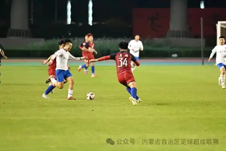 少妇被又大又粗又爽毛片久久黑人